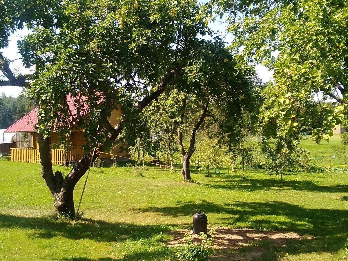 Ceslovos Sodyba Zarasai Bagian luar foto