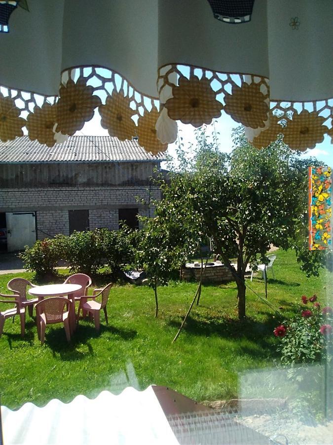 Ceslovos Sodyba Zarasai Bagian luar foto