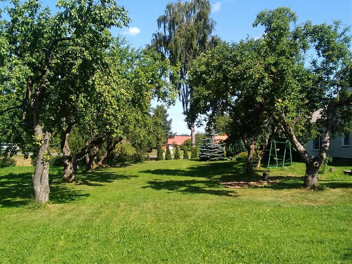 Ceslovos Sodyba Zarasai Bagian luar foto