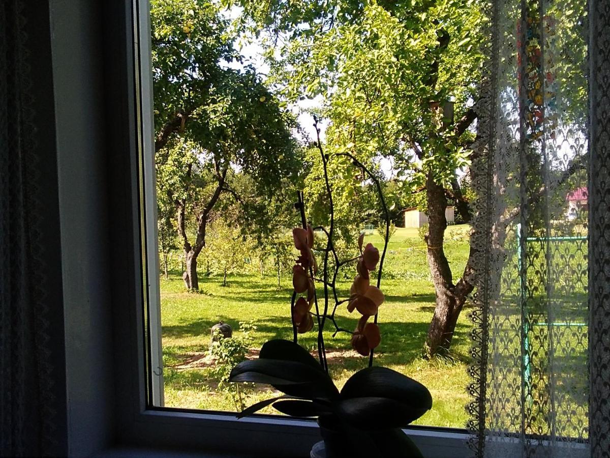 Ceslovos Sodyba Zarasai Bagian luar foto
